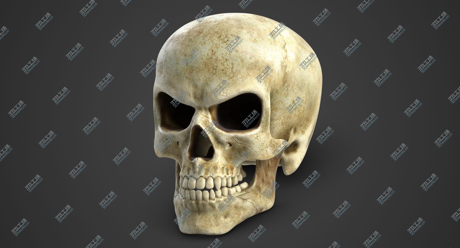 images/goods_img/202104023/Skull 3/1.jpg